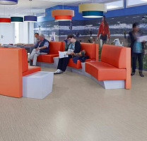 Forbo Sarlon Wood 19dB 311T4319 light grey zebrano фото 2 | FLOORDEALER